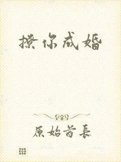 撩你成婚
