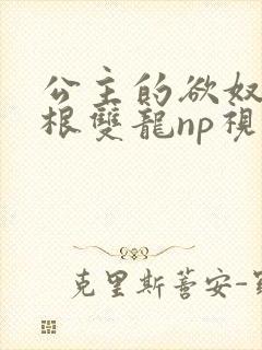 公主的欲奴h四根双龙np视频