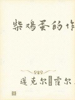 柴鸡蛋的作品