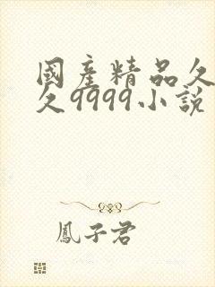 国产精品久久久久9999小说