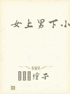 女上男下小说