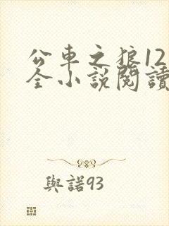 公车之狼12集全小说阅读