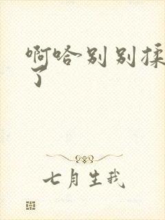 啊哈别别揉那处了