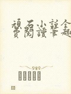 顽石小说全文免费阅读笔趣阁