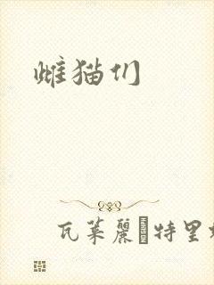 雌猫们