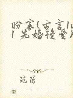 盼寡(古言1v1 先婚后爱)