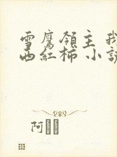 雪鹰领主 我吃西红柿 小说