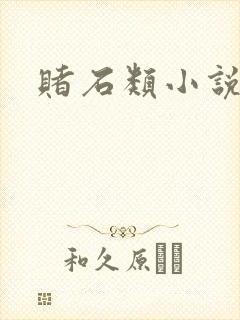 赌石类小说
