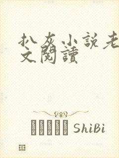 扒灰小说老马全文阅读