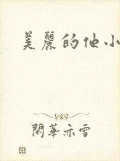 美丽的他小说
