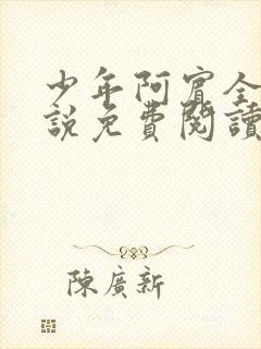 《少年阿宾全文小说免费阅读笔趣阁》小说封面