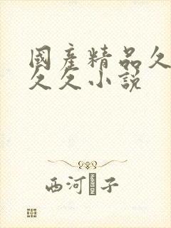 国产精品久久久久久小说