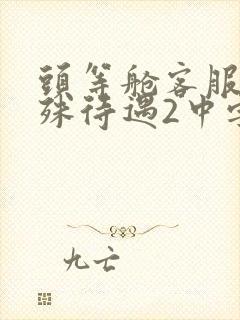 头等舱客服的特殊待遇2中字