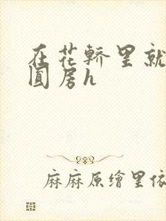 在花轿里就开始圆房h