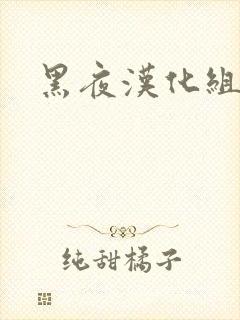 黑夜汉化组