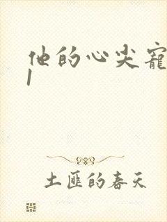 他的心尖宠1v1