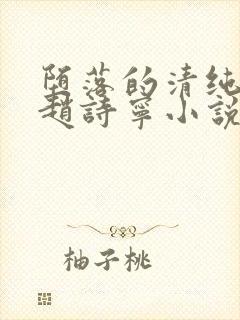 堕落的清纯校花赵诗宁小说阅读