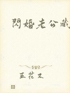 闪婚老公藏不住