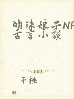 明珠娘子NPC古言小说