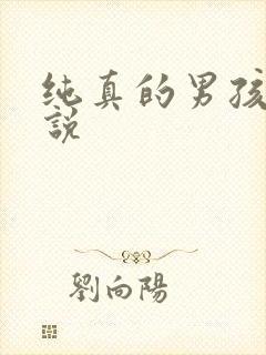 纯真的男孩子小说