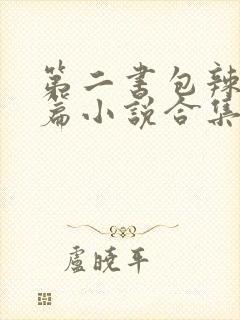 第二书包辣网短篇小说合集