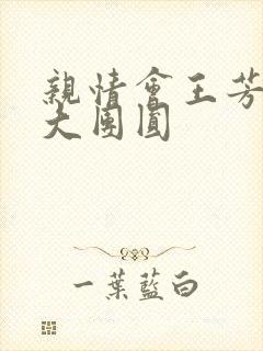 《亲情会王芳高敏大团圆》小说封面