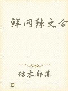 鲜网辣文合集