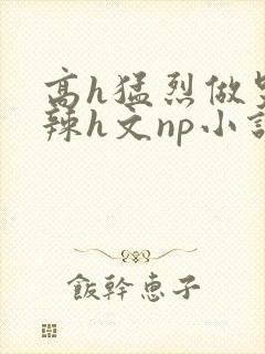 高h猛烈做哭高辣h文np小说