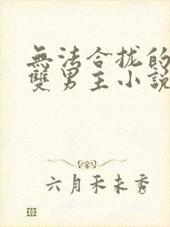 无法合拢的总裁双男主小说