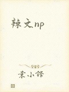 辣文np