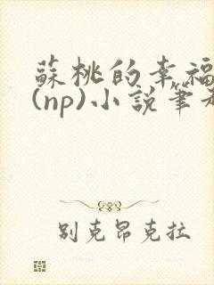 苏桃的幸福生活(np)小说笔趣阁沐沐