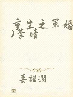 重生之军婚(h)李晴