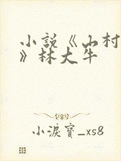 小说《山村情事》林大牛封面