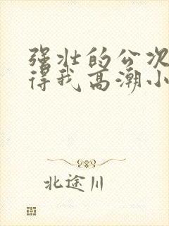 强壮的公次次弄得我高潮小说