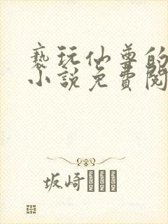 亵玩仙尊的道侣小说免费阅读