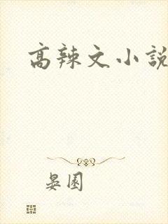 高辣文小说