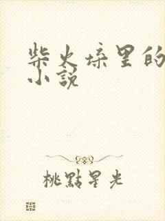 柴火垛里的疯狂小说