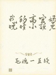 我的高官妈妈苏晚晴小说免费阅读