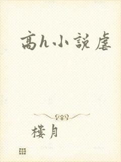 高h小说虐