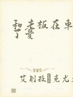 和老板在车里做了爱