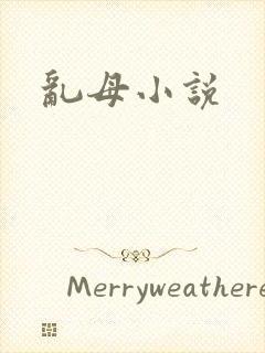 乱母小说