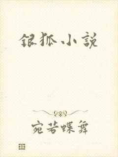 银狐小说