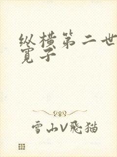 纵横第二世界 宽子