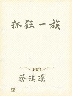 《抓狂一族》小说封面