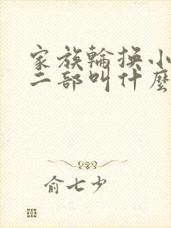 家族轮换小说第二部叫什么名字