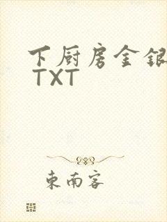 下厨房金银花露 TXT