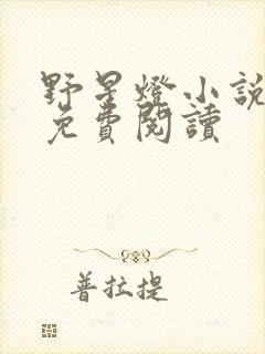 野星灯小说全文免费阅读