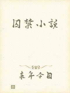 囚禁小说