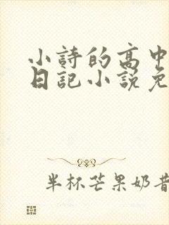 小诗的高中成长日记小说免费阅读