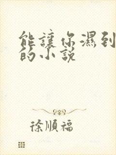 能让你湿到不行的小说